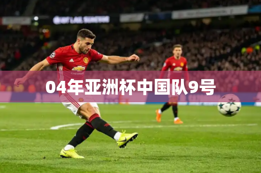 04年亚洲杯中国队9号 04年亚洲杯中国队9号