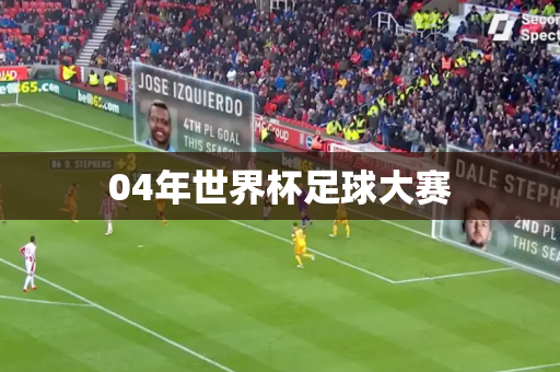 04年世界杯足球大赛