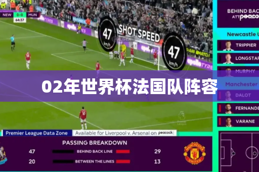 02年世界杯法国队阵容