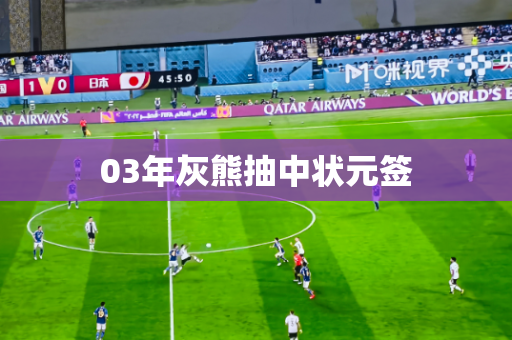 03年灰熊抽中状元签 03年灰熊抽中状元签