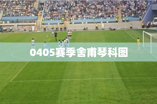 0405赛季舍甫琴科图 0405赛季舍甫琴科图
