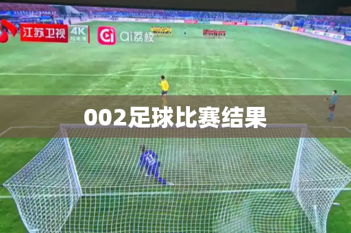 002足球比赛结果