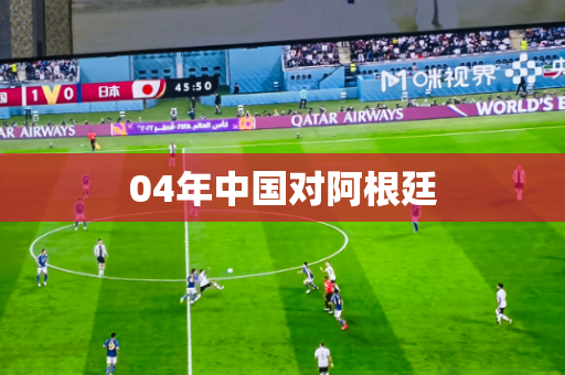 04年中国对阿根廷