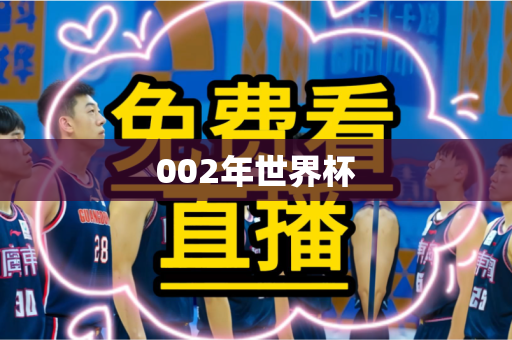 002年世界杯