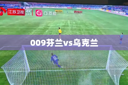 009芬兰vs乌克兰