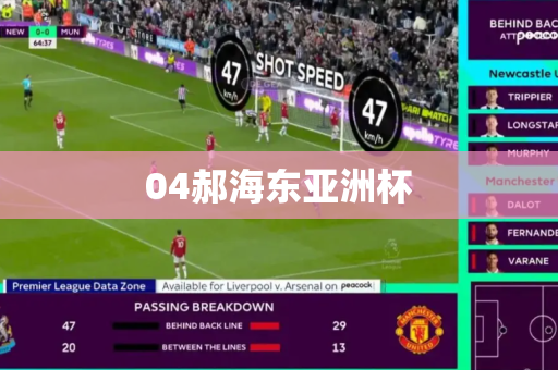 04郝海东亚洲杯 04郝海东亚洲杯
