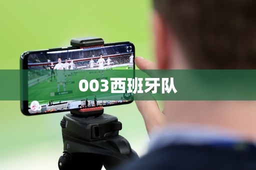 003西班牙队