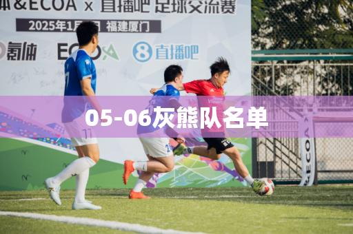 05-06灰熊队名单