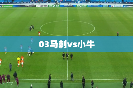 03马刺vs小牛