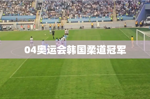 04奥运会韩国柔道冠军