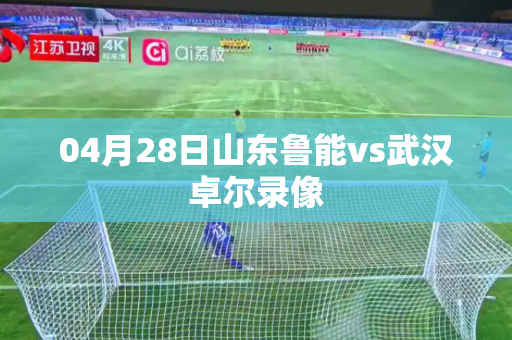04月28日山东鲁能vs武汉卓尔录像