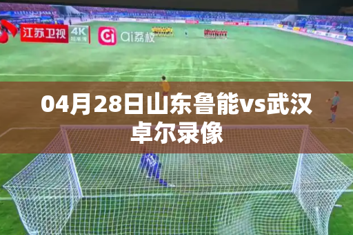 04月28日山东鲁能vs武汉卓尔录像