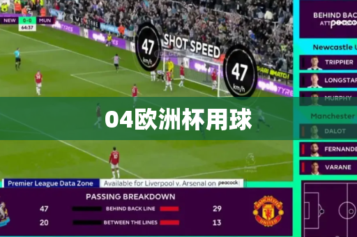 04欧洲杯用球