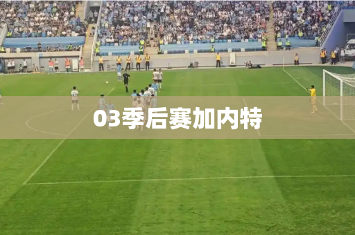 03季后赛加内特