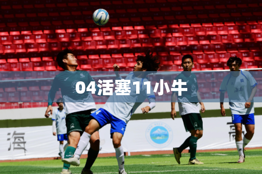 04活塞11小牛