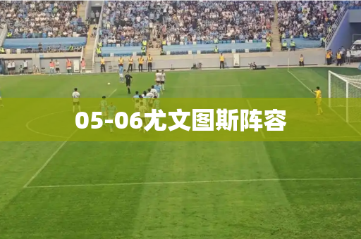 05-06尤文图斯阵容