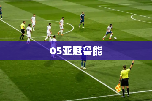 05亚冠鲁能 05亚冠鲁能