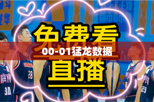 00-01猛龙数据