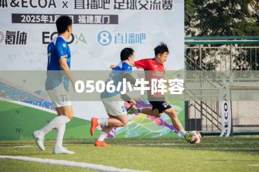 0506小牛阵容 0506小牛阵容