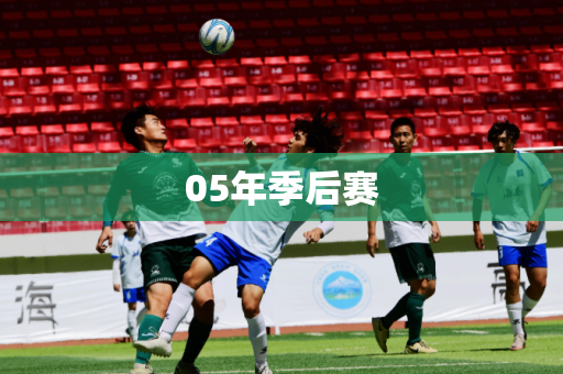 05年季后赛 05年季后赛