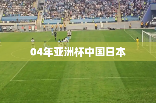 04年亚洲杯中国日本 04年亚洲杯中国日本