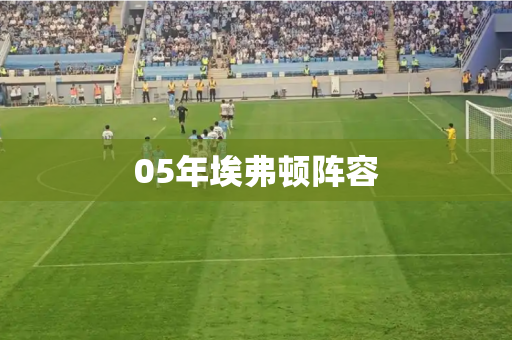 05年埃弗顿阵容