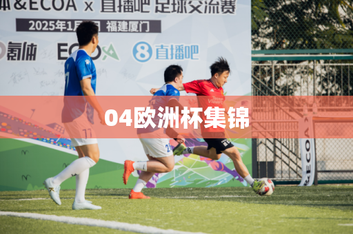 04欧洲杯集锦 04欧洲杯集锦