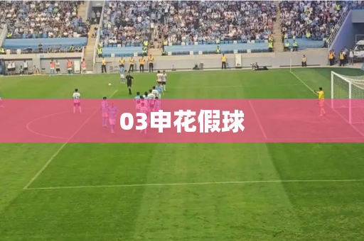 03申花假球 03申花假球