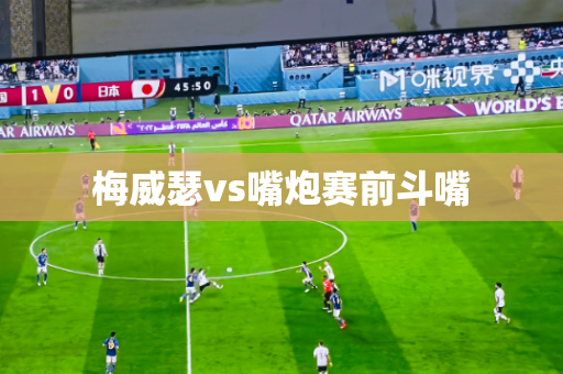 梅威瑟vs嘴炮赛前斗嘴 梅威瑟vs嘴炮赛前斗嘴