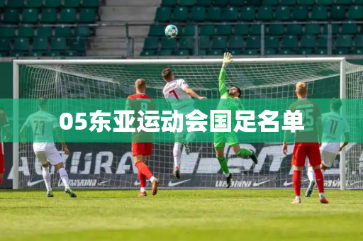 05东亚运动会国足名单