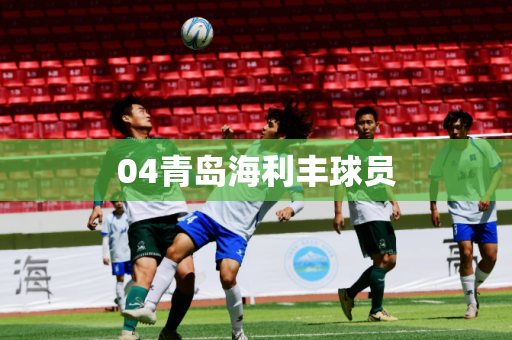 04青岛海利丰球员