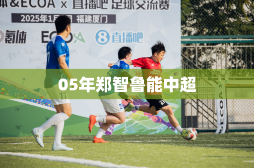 05年郑智鲁能中超 05年郑智鲁能中超