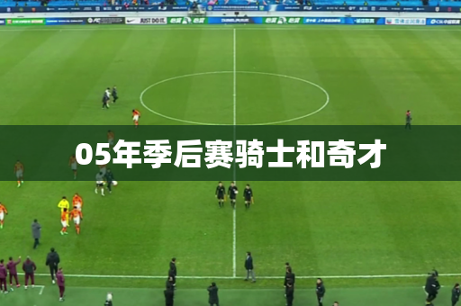 05年季后赛骑士和奇才