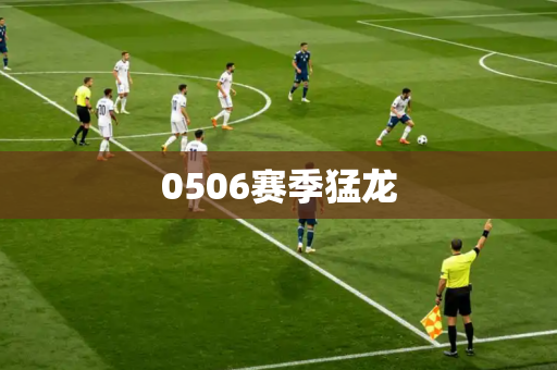 0506赛季猛龙 0506赛季猛龙