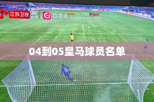 04到05皇马球员名单