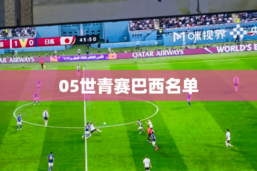 05世青赛巴西名单