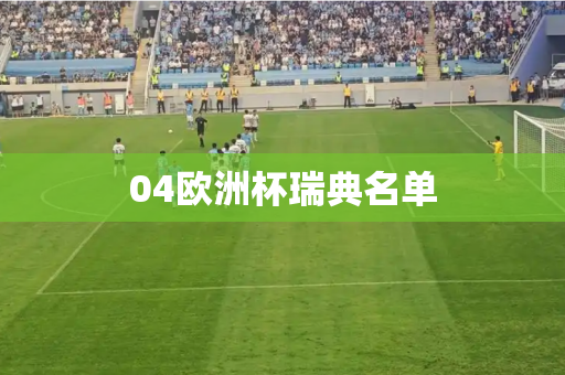 04欧洲杯瑞典名单