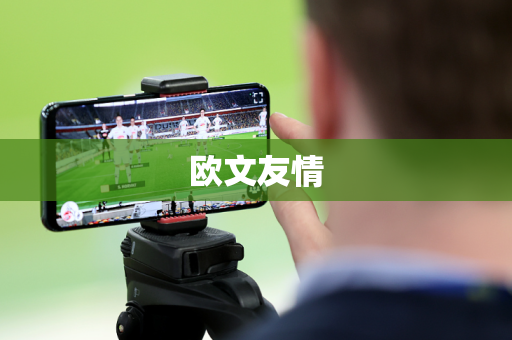 欧文友情 欧文友情