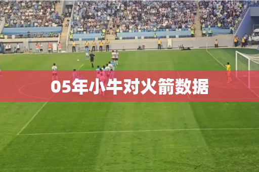 05年小牛对火箭数据
