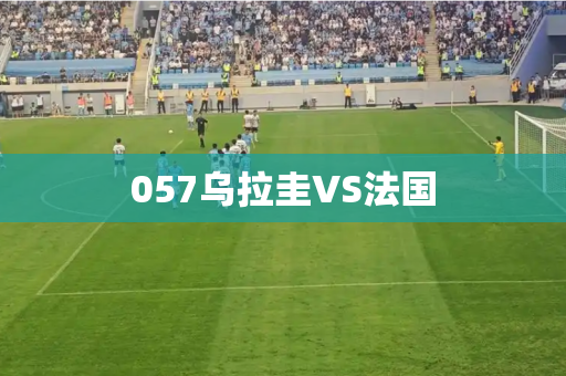 057乌拉圭VS法国