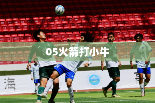 05火箭打小牛 05火箭打小牛