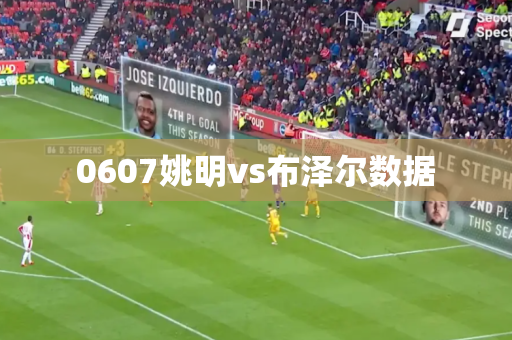 0607姚明vs布泽尔数据 0607姚明vs布泽尔数据