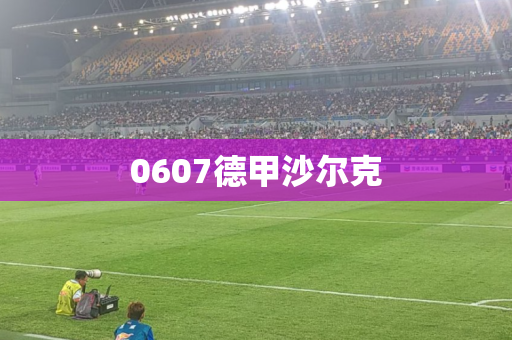 0607德甲沙尔克 0607德甲沙尔克