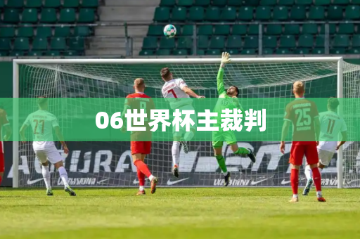 06世界杯主裁判