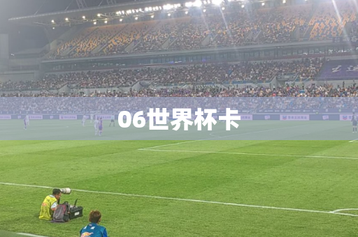 06世界杯卡