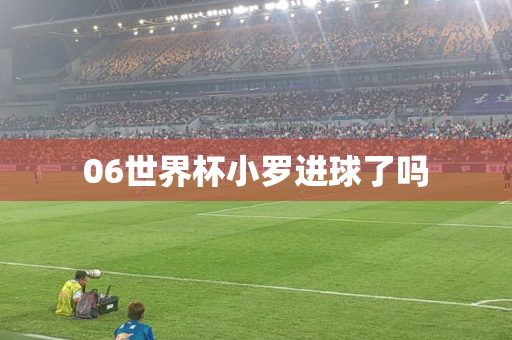 06世界杯小罗进球了吗