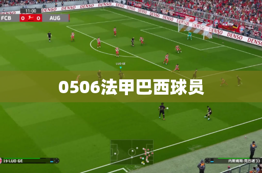 0506法甲巴西球员