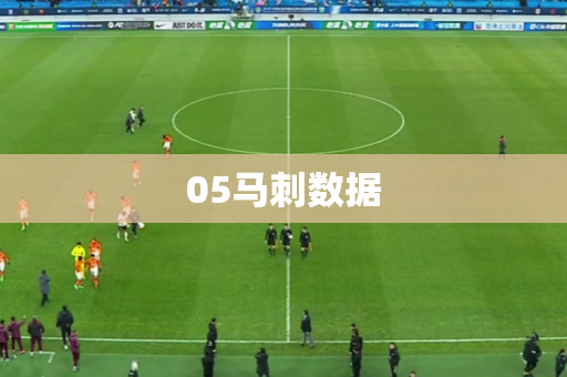 05马刺数据