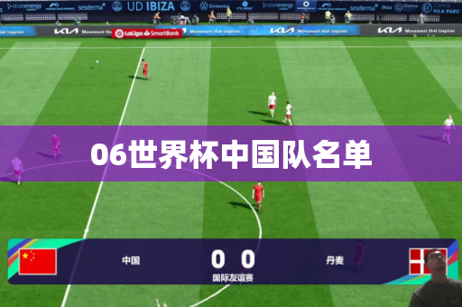 06世界杯中国队名单