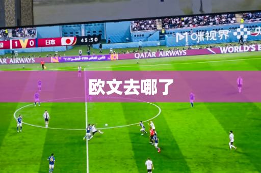 欧文去哪了 欧文去哪了